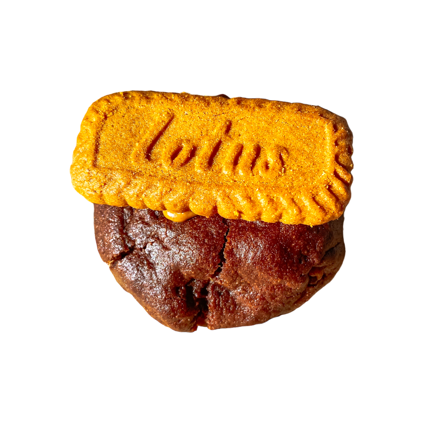 Cookie - Lotus biscoff