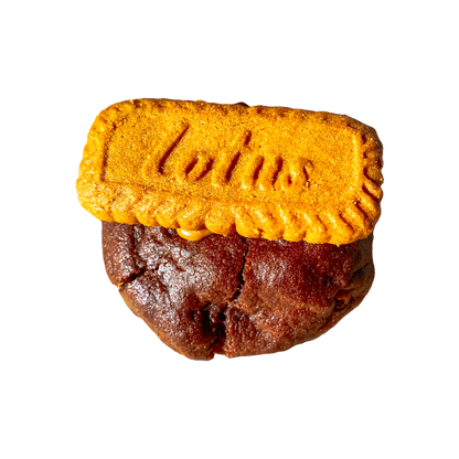 Cookie - Lotus biscoff
